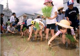 Children plant rice on roof of Tokyo department store